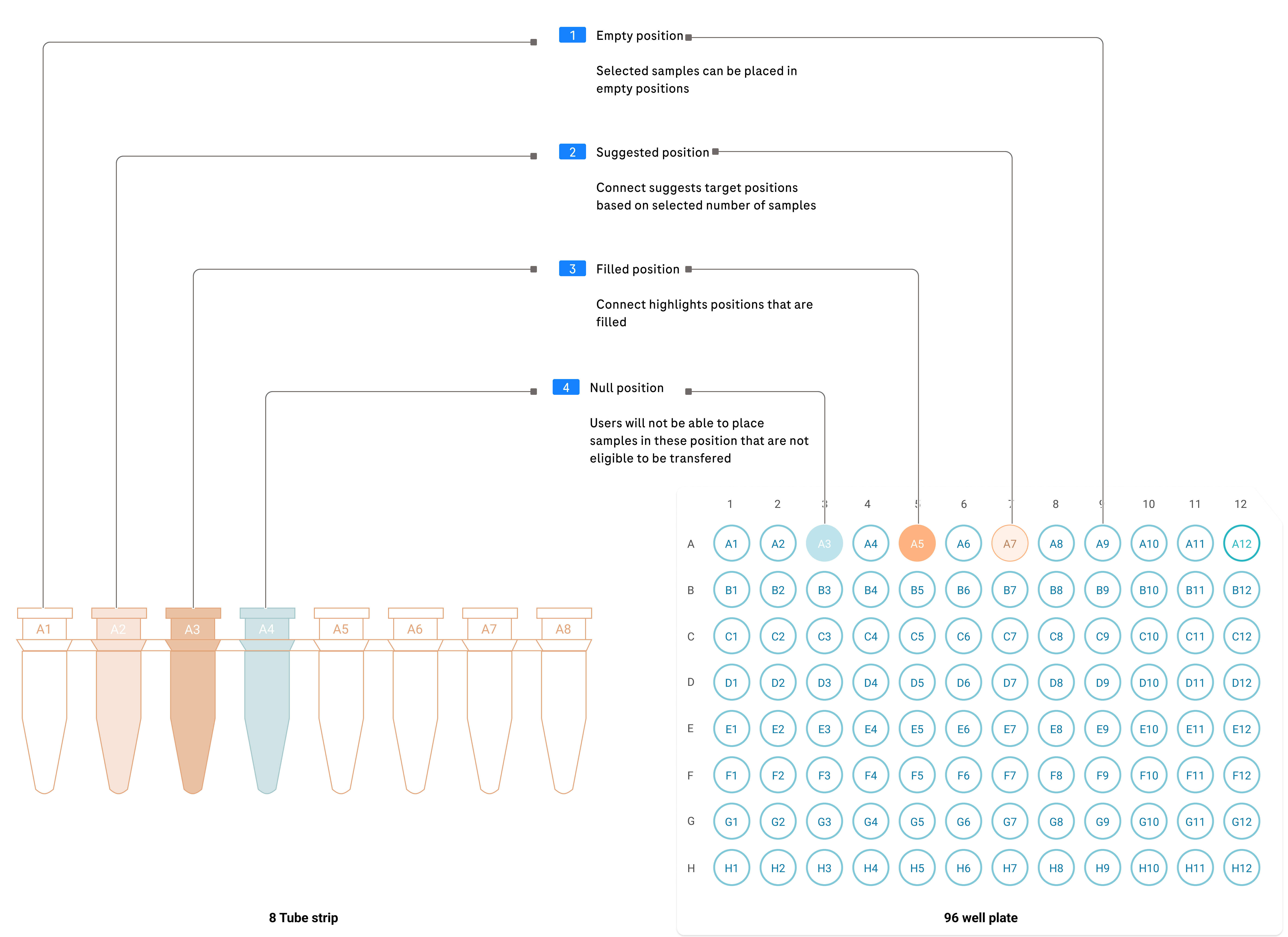 Sample visualizer showing the interactive transfer interface with source and target containers