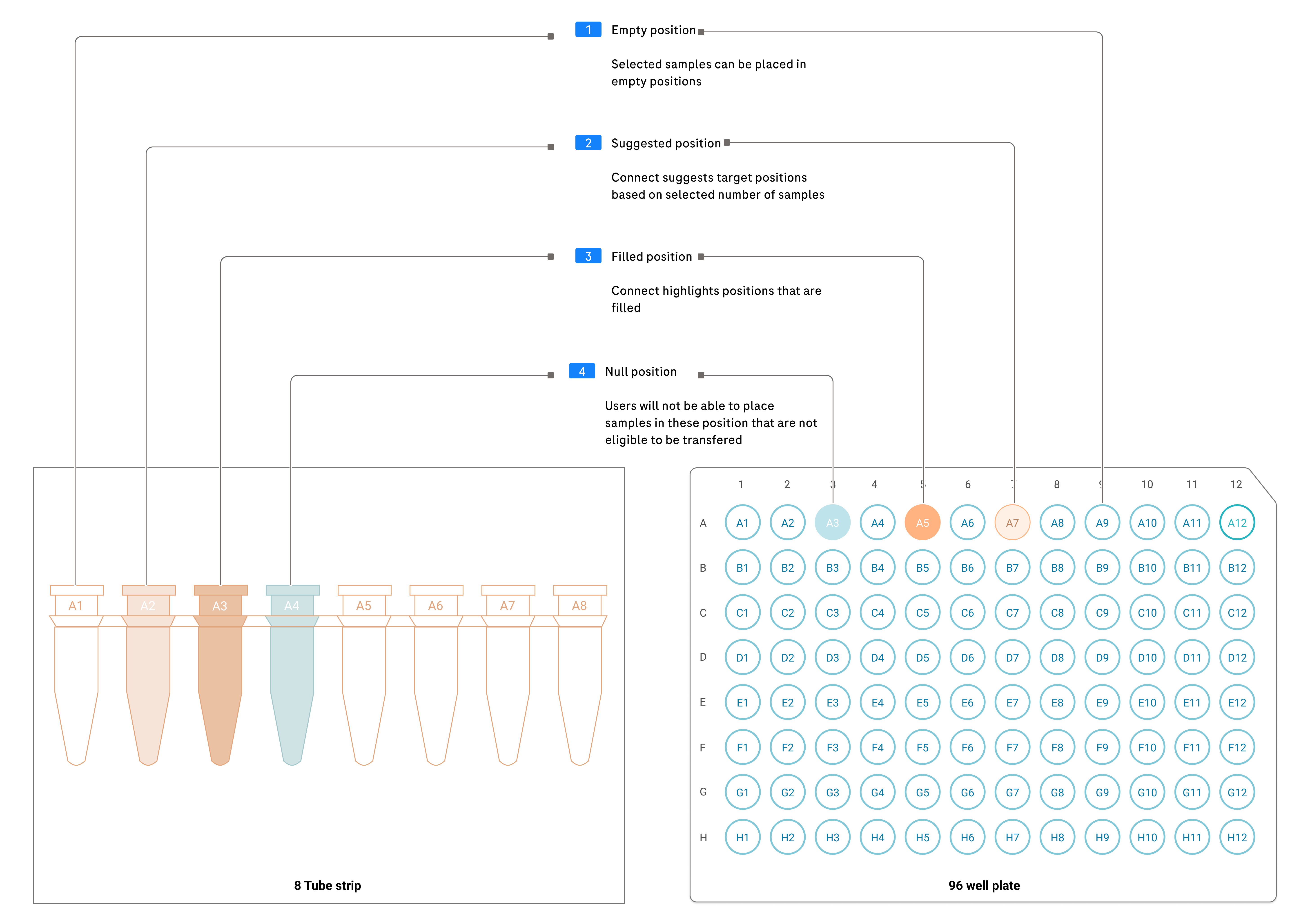 Target container designs showing 8 tube strip and 96 well plate with different position statuses